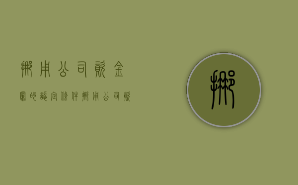 挪用公司资金罪的认定条件（挪用公司资金罪的认定条件是什么）