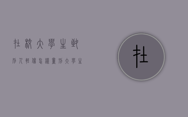 在校大学生致别人轻伤,怎样量刑（大学生打架斗殴）