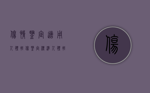 伤情鉴定适用：人体轻伤鉴定标准（人体轻伤司法鉴定标准）
