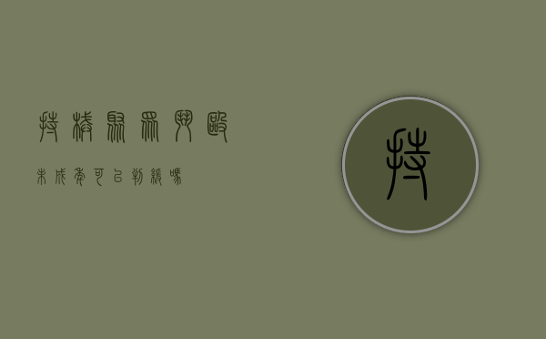 持械聚众斗殴未成年可以判缓吗