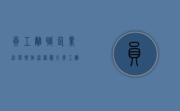 员工离职企业社保操作流程图片（员工离职单位社保怎么办理）