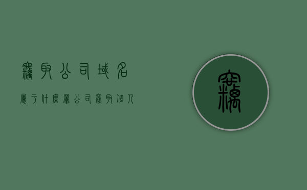 窃取公司域名属于什么罪（公司窃取个人信息罪）