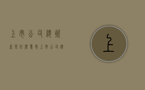 上市公司总资产是什么意思（上市公司总资产怎么看）