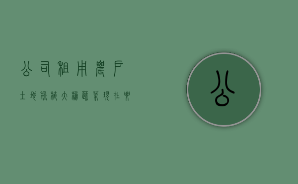 公司租用农户土地种植大棚蔬菜,现在要拆迁,公司有哪些补偿（租用大棚种植蔬菜能赚钱吗）