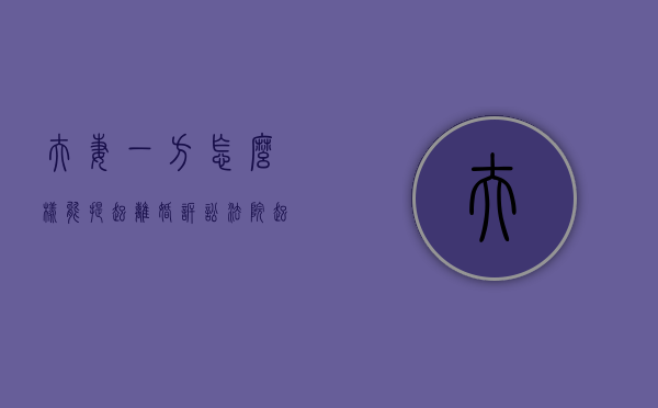 夫妻一方怎么样能提起离婚诉讼（法院起诉夫妻一方另一方也得还钱吗）