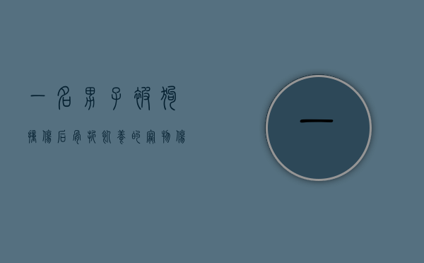 一名男子被狗撞伤后骨折，饲养的宠物伤害如何赔偿