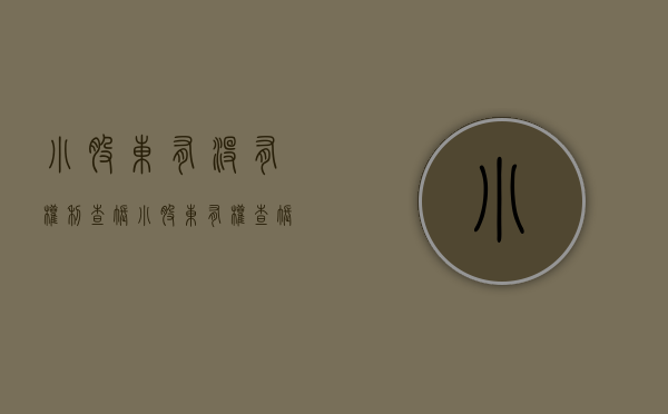 小股东有没有权利查账（小股东有权查帐吗）