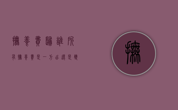 抚养费归谁所有（抚养费是一方出还是双方出）