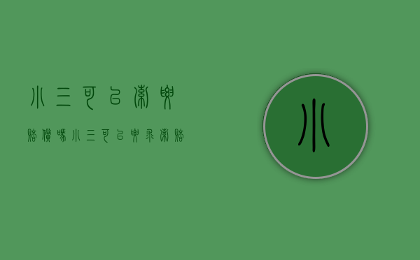 小三可以索要赔偿吗（小三可以要求索赔吗）