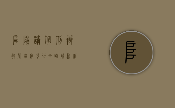 阜阳请个刑辩律师费用多少？全面解析刑事辩护律师收费标准