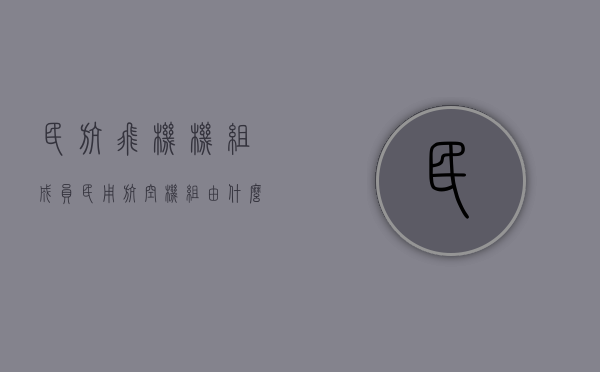 民航飞机机组成员（民用航空机组由什么组成）