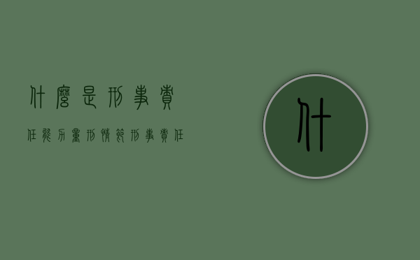 什么是刑事责任能力量刑情节（刑事责任能力的规定是什么）