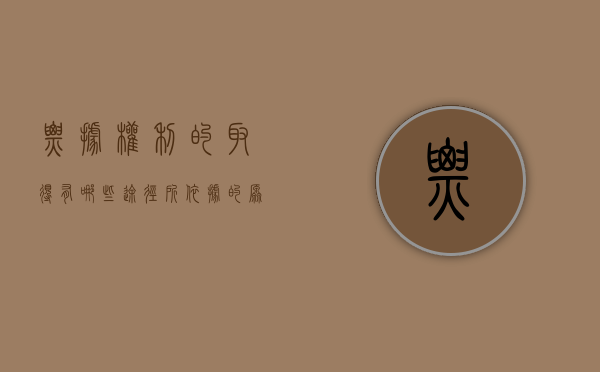 票据权利的取得有哪些途径,所依据的原则是什么?（票据权利的含义及分类）