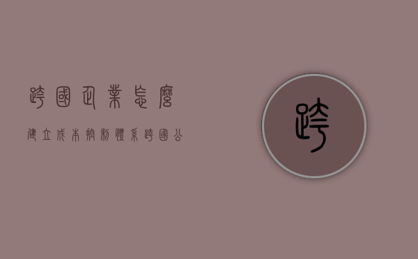 跨国企业怎么建立成本控制体系（跨国公司降低成本）