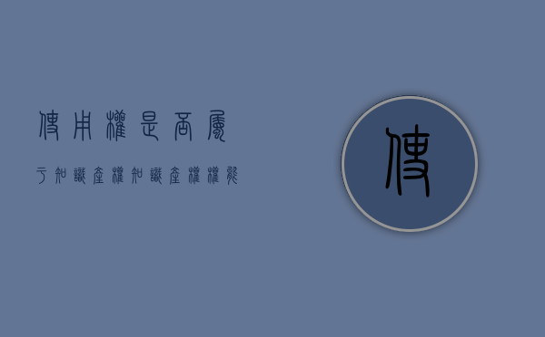 使用权是否属于知识产权（知识产权权能中的使用权）