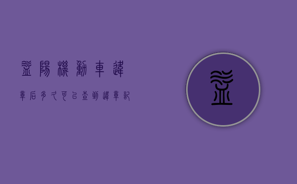 益阳机动车违章后多久可以查到违章记录（益阳违章几天能查到）