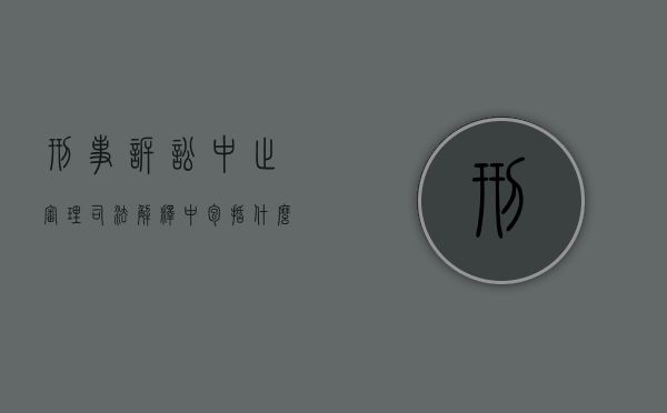刑事诉讼中止审理司法解释中包括什么内容？（中止审理刑事诉讼法司法解释）