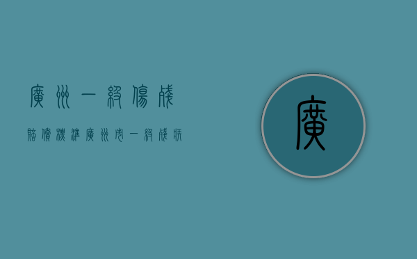 广州一级伤残赔偿标准（广州市一级残疾每月多少补贴）
