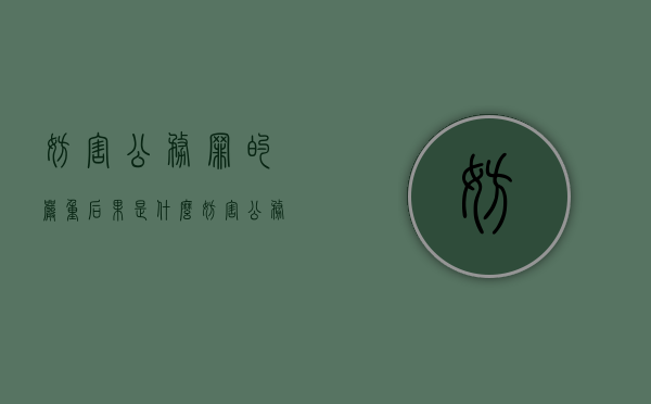 妨害公务罪的严重后果是什么（妨害公务罪造成严重后果）