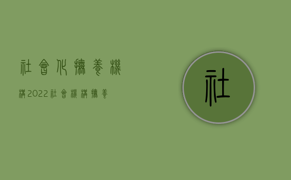 社会化抚养机构（2022社会机构抚养的程序和特征）
