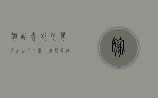 嫁出去的女儿泼出去的水是什么歌名（嫁出去的女儿泼出去的水是什么歌词）