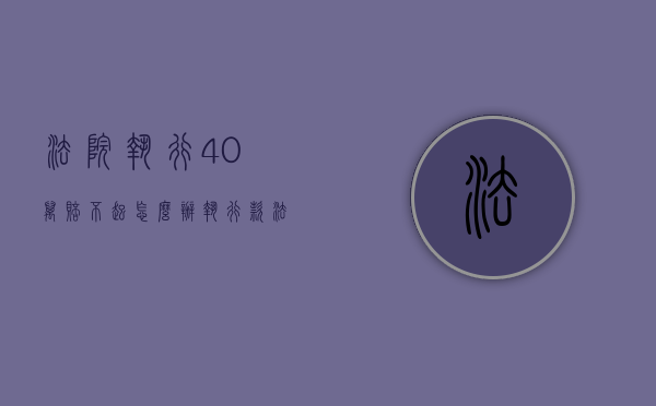 法院执行40万赔不起怎么办（执行款法院一直不给怎么办）