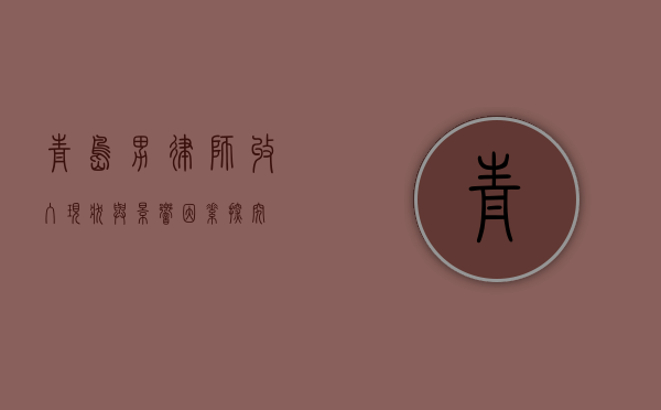 青岛男律师，收入现状与影响因素探究
