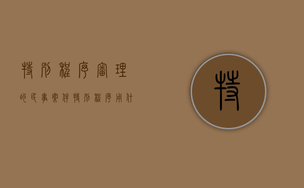 特别程序审理的民事案件（特别程序用什么程序审理）
