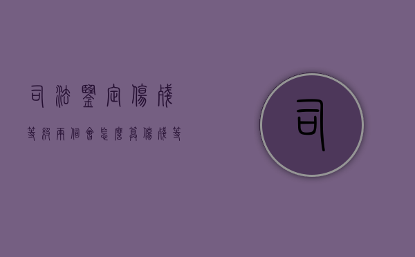 司法鉴定伤残等级两个会怎么算？（伤残等级两处怎么算）