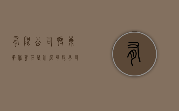有限公司股东承担责任是什么？（有限公司股东承担责任是什么法律）