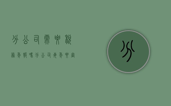 分公司需要税务年报吗（分公司每年要审计吗）