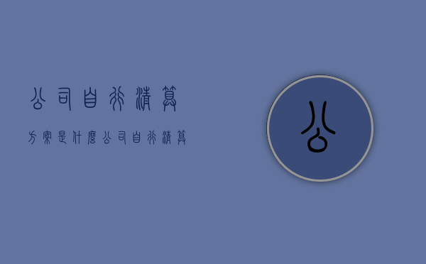 公司自行清算方案是什么（公司自行清算流程文件）