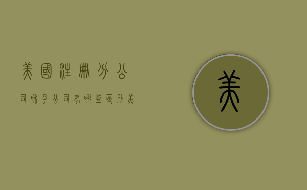 美国注册分公司和子公司有哪些区别（美国分公司英文）