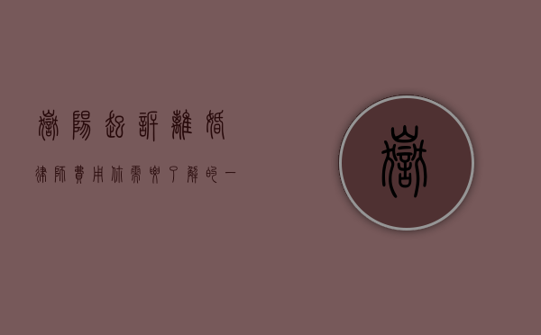 岳阳起诉离婚律师费用，你需要了解的一切