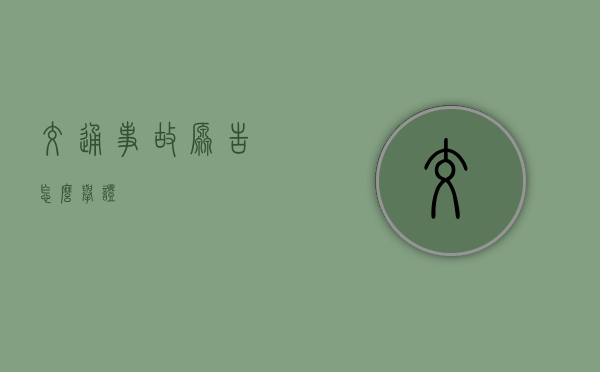 交通事故原告怎么举证