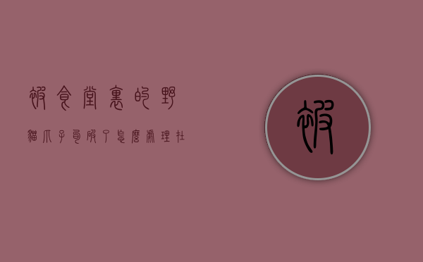 被食堂里的野猫爪子勾破了怎么处理（在饭店被野猫抓伤）