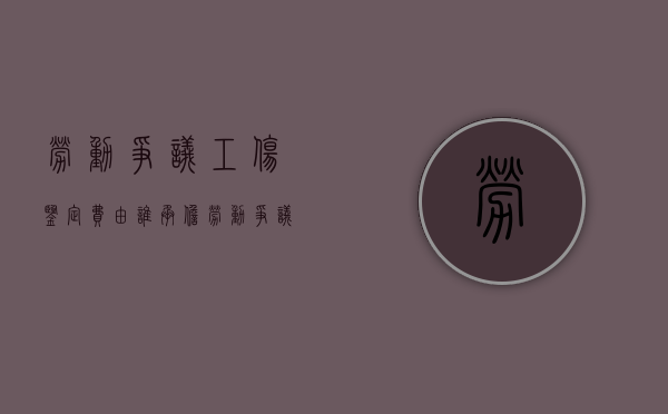 劳动争议工伤鉴定费由谁承担（劳动争议工伤认定）