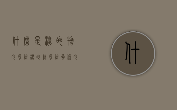 什么是标的物的风险?（标的物风险负担的含义）
