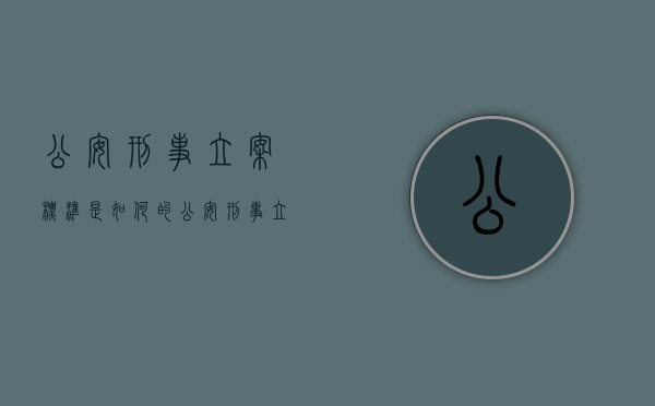 公安刑事立案标准是如何的（公安刑事立案条件）