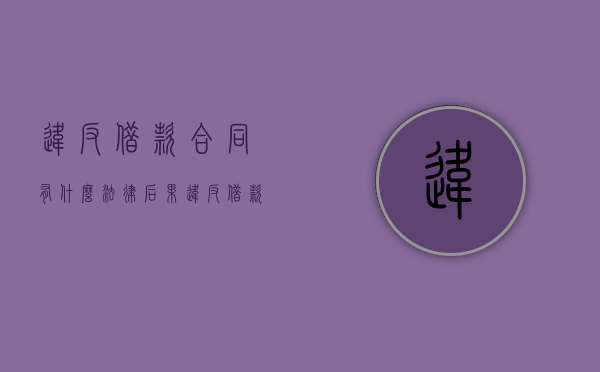 违反借款合同有什么法律后果（违反借款合同的法律责任）