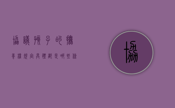协议孩子的抚养权规定具体都是哪些条件（协议孩子抚养权有效吗）