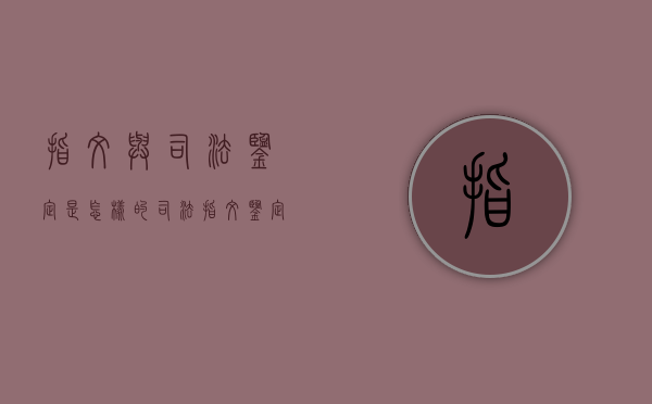 指纹与司法鉴定是怎样的（司法指纹鉴定收费标准）