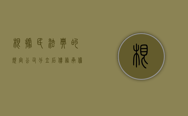 根据民法典的规定公司分立后债务承担（公司分立后的债权如何分配）