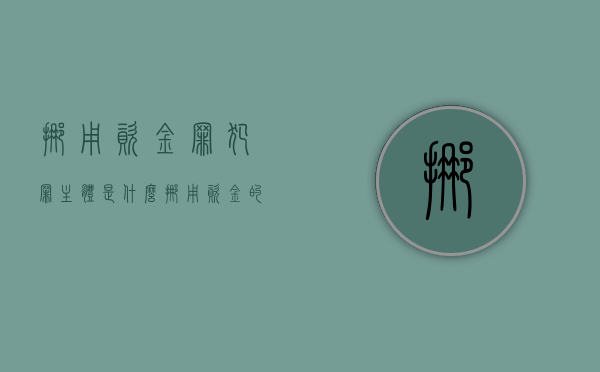 挪用资金罪犯罪主体是什么（挪用资金的犯罪主体是）