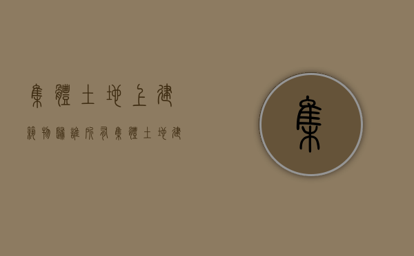 集体土地上建筑物归谁所有（集体土地建房可以转让吗）