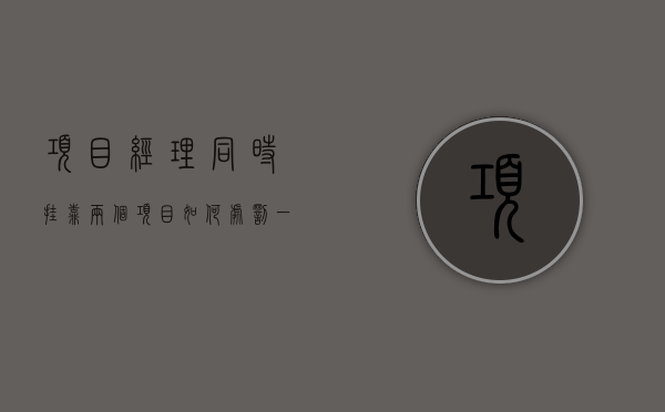 项目经理同时挂靠两个项目如何处罚（一个项目经理两个项目经理区别大吗）