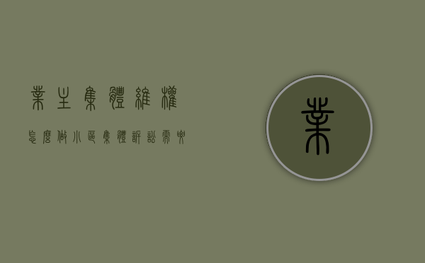 业主集体维权怎么做（小区集体诉讼需要多少钱）