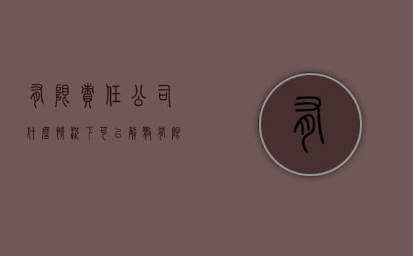 有限责任公司什么情况下可以解散（有限公司的解散和清算）