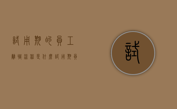 试用期的员工离职流程是什么（试用期员工离职程序）