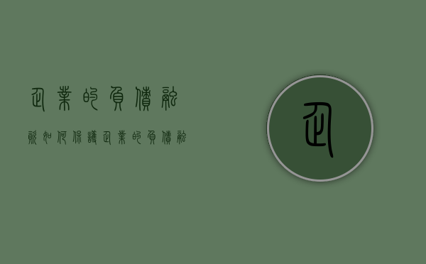 企业的负债融资如何保护（企业的负债融资如何保护财产安全）